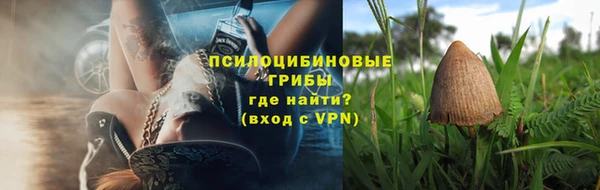 молекула духа Козловка