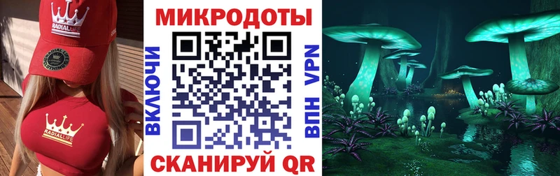 Псилоцибиновые грибы мицелий  купить закладку  Кировград 